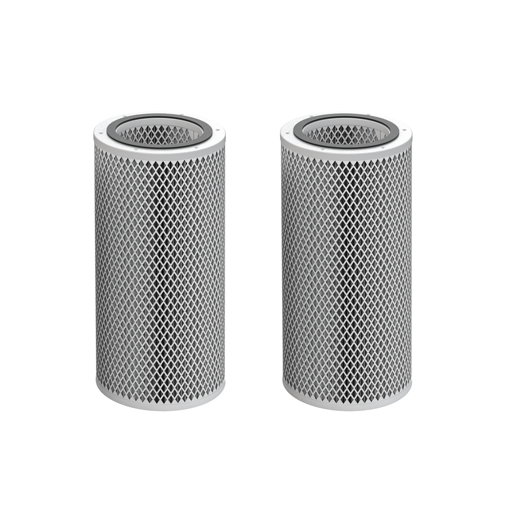 Two identical cylindrical mesh filter cartridges with silver metal bodies and dark gray end caps, shown side by side on a plain white background.