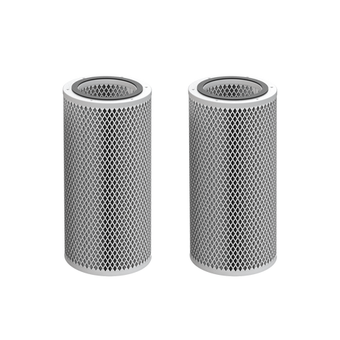 Two identical cylindrical mesh filter cartridges with silver metal bodies and dark gray end caps, shown side by side on a plain white background.